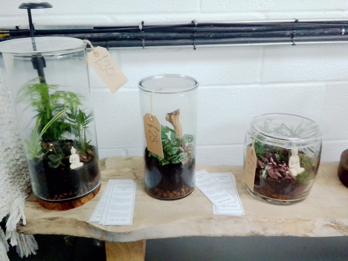 Terrarium