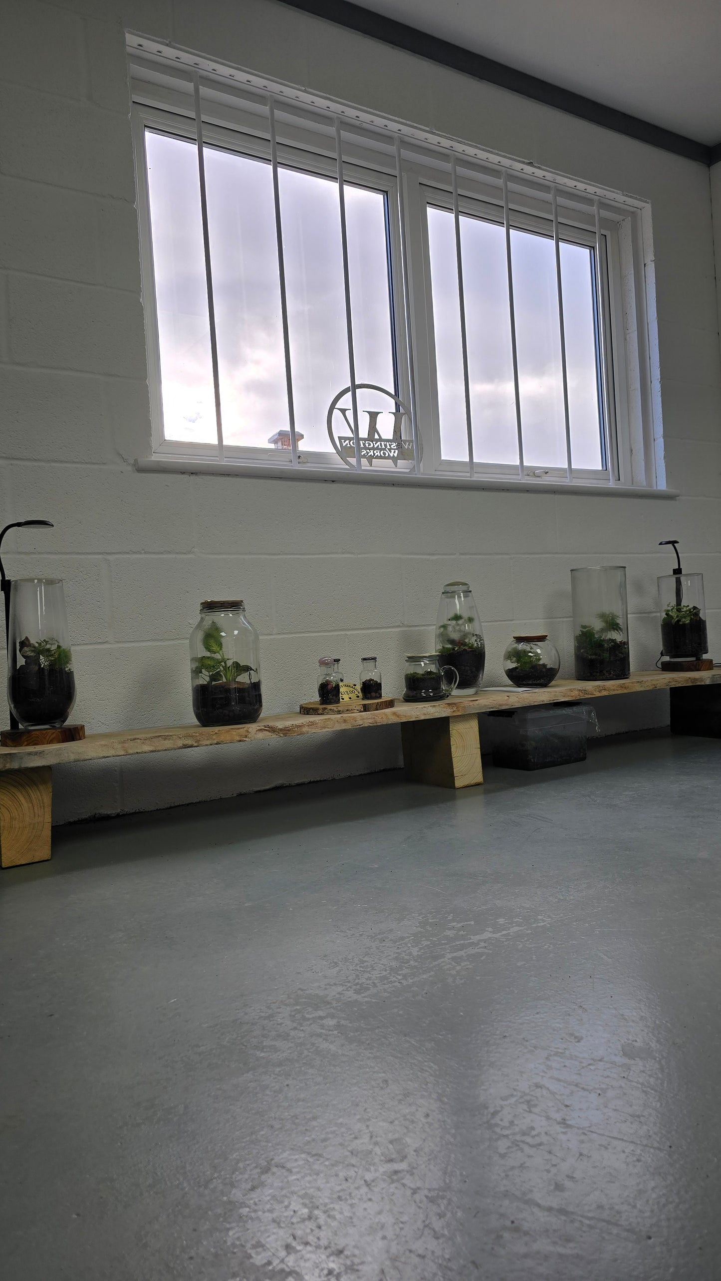 Sample Terrarium