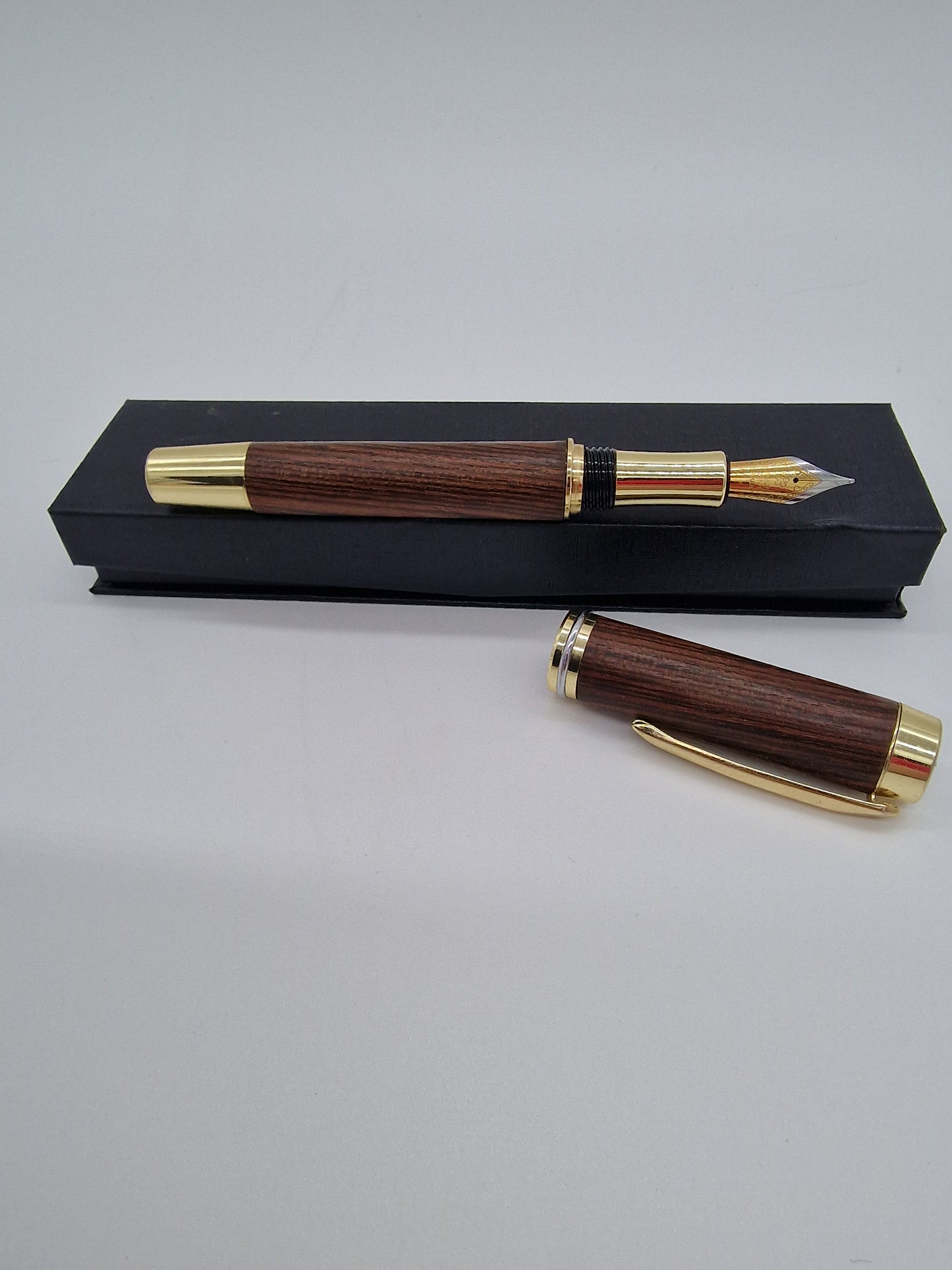 Fountain pen