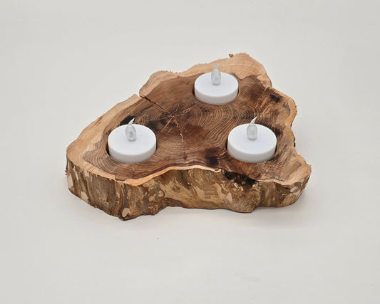Leylandii slice Candle Holder