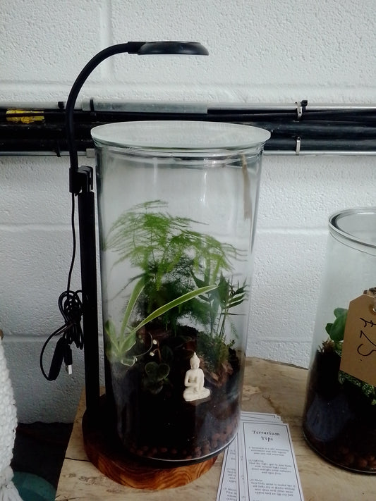 Lamp for Terrarium